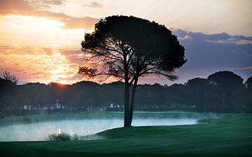 THE MONTGOMERIE MAXX ROYAL GOLF COURSE